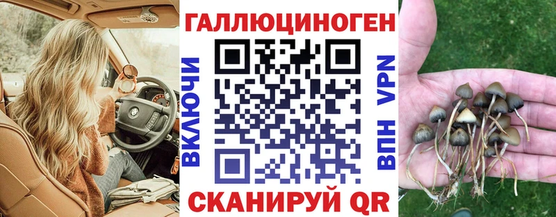 Галлюциногенные грибы ЛСД  Белозерск 